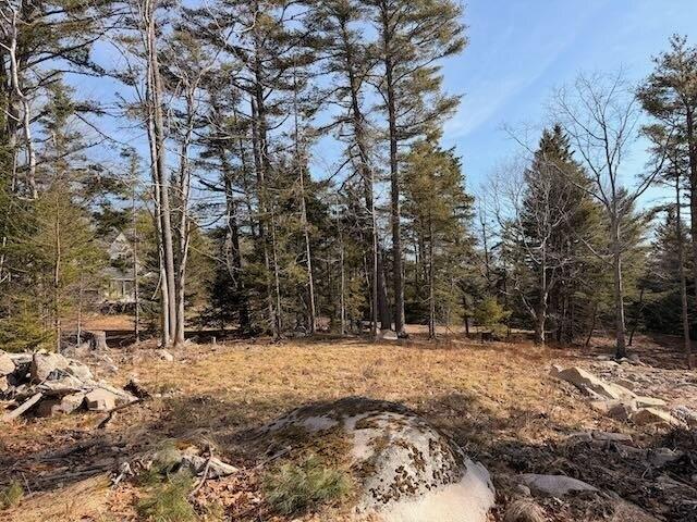 Land for sale in Mount Desert, Maine