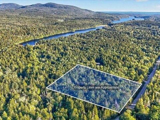 Land for sale in Tremont, Hancock County
