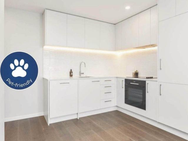 Apartment for rent in Mount Eden, Albert-Eden