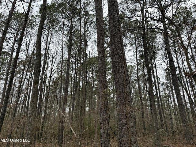 Land for sale in Pearl, Mississippi