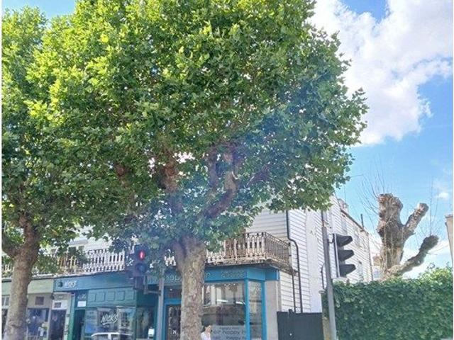 Apartment for rent in St James, Sandown Park