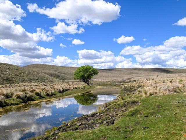 Cottage for sale in Snowy Monaro Regional Council, New South Wales
