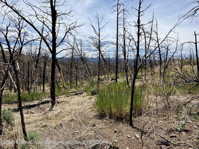 Land for sale in Alto, New Mexico