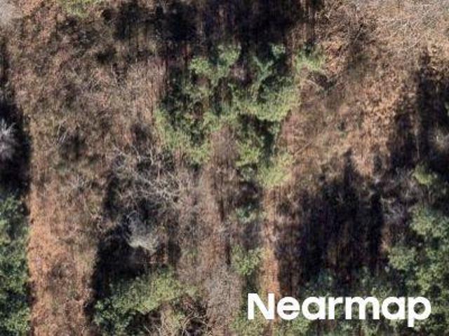 Land for sale in Alabama