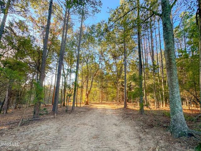 Land for sale in Flora, Mississippi