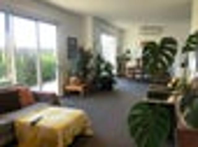 House for rent in Arataki, Bayfair