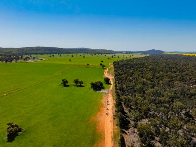 Cottage for sale in Colinroobie, New South Wales
