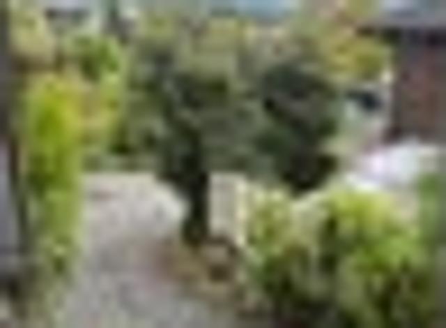 House for rent in Chaslands, Canterbury