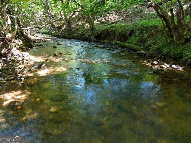Land for sale in Blairsville