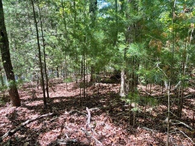 Land for sale in Blairsville, Georgia