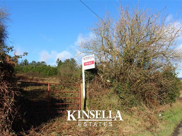 Property for sale in Tinahely, Wicklow