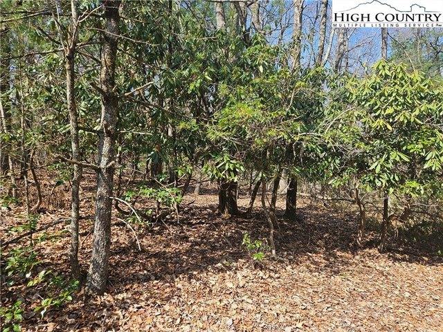 Land for sale in Alleghany, North Carolina