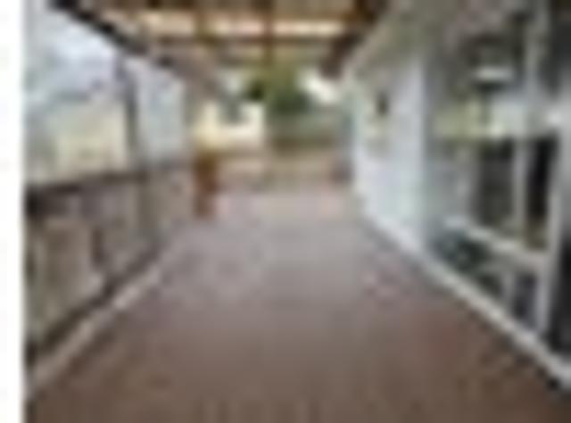 House for rent in New Windsor, Whau