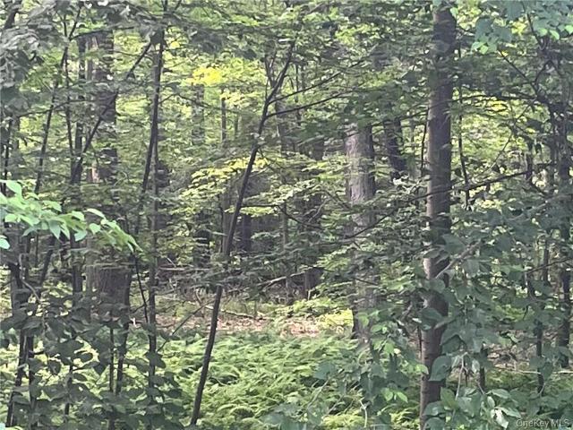 Property for sale in Pine Plains, New York