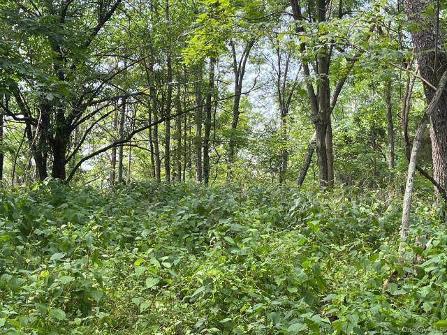 Land for sale in Pine Plains, New York
