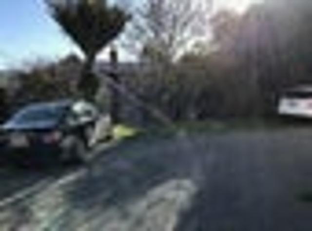 Apartment for rent in Mount Victoria, Wellington
