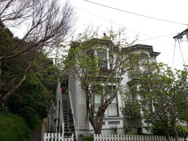 Apartment for rent in Matata, Wellington