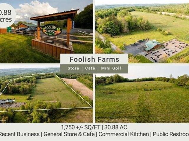 Land for sale in Burlington Flats, New York