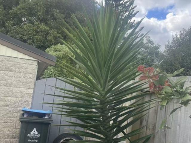 House for rent in Hillersden, Oroua County