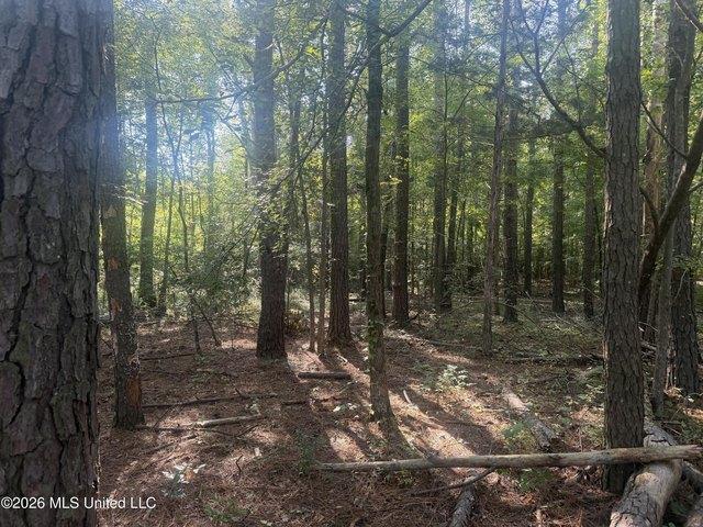 Land for sale in Florence, Mississippi