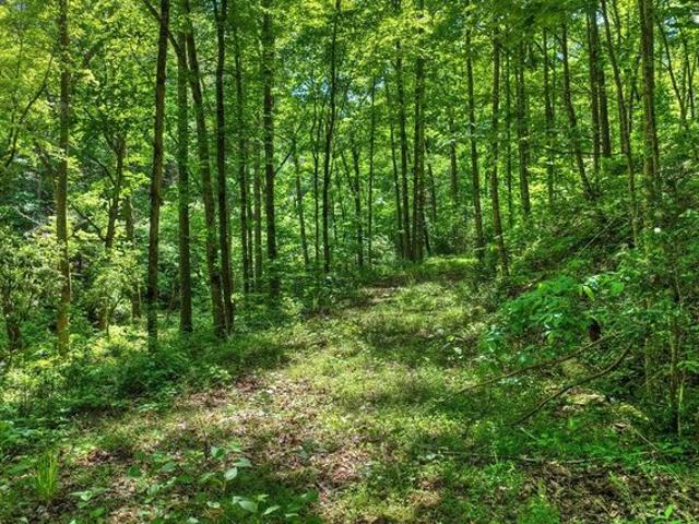 Land for sale in Pickens, Georgia