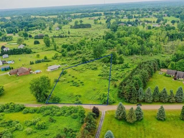 Land for sale in Leonard