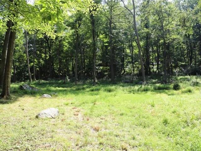 Land for sale in Tuxedo Park