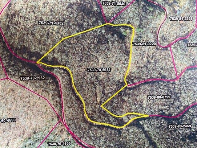 House for sale in Sylva, North Carolina