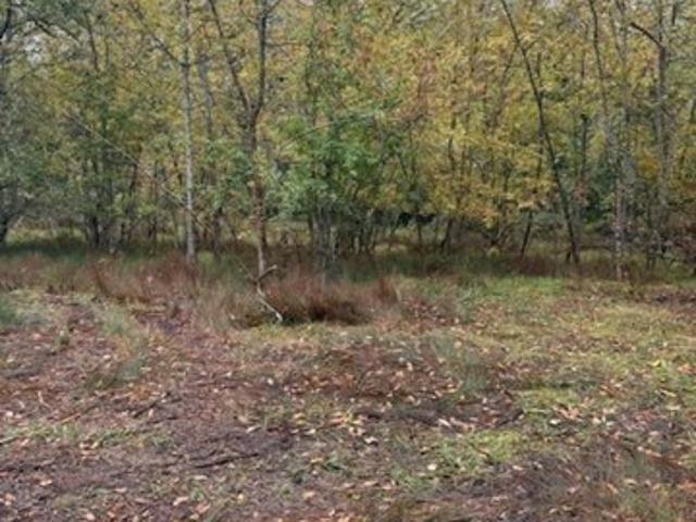 Land for sale in Oregonia