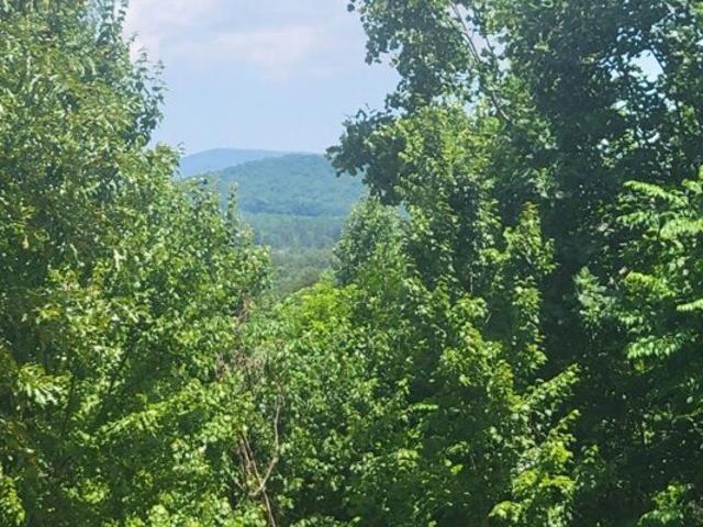 Land for sale in Warne Land for sale in Warne