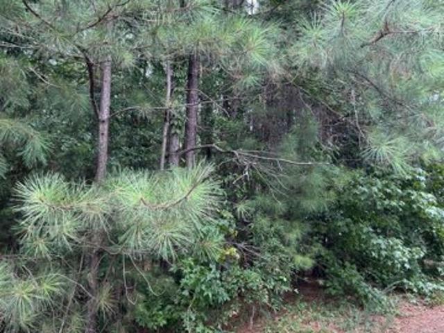 Land for sale in Piedmont