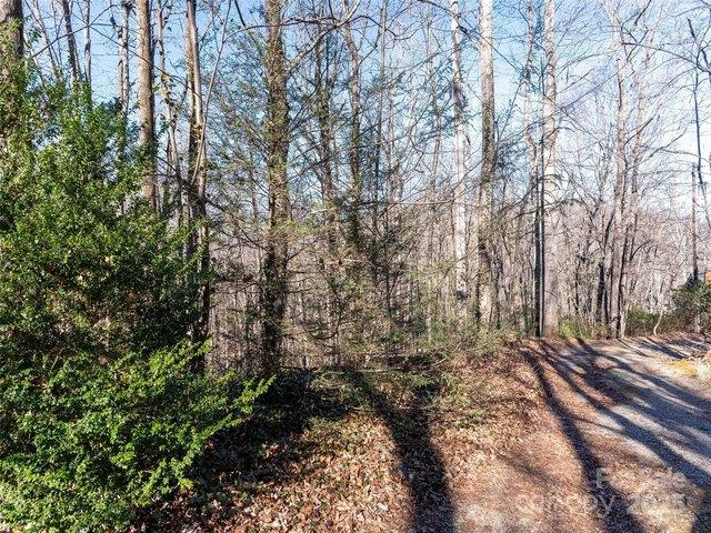 Land for sale in Saluda, North Carolina