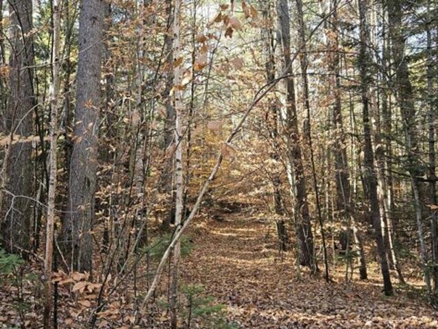 Land for sale in Bakers Mills, New York