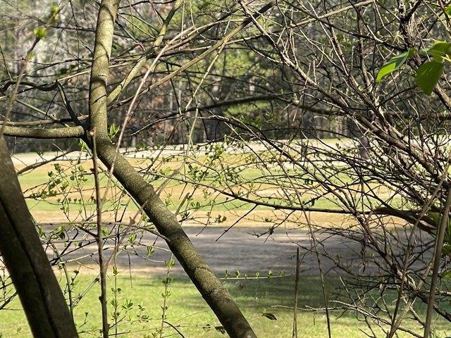 Land for sale in Ark