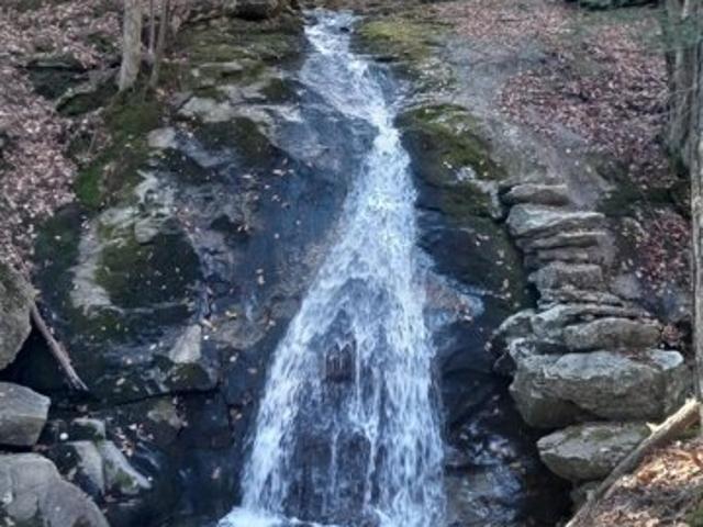 Land for sale in Buckfield