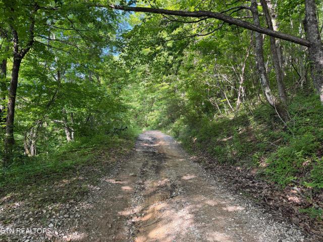 Land for sale in Tennessee