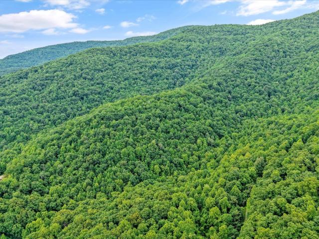 Land for sale in Tennessee