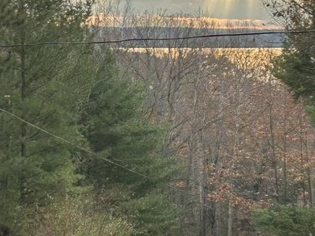 Land for sale in Alden, Michigan