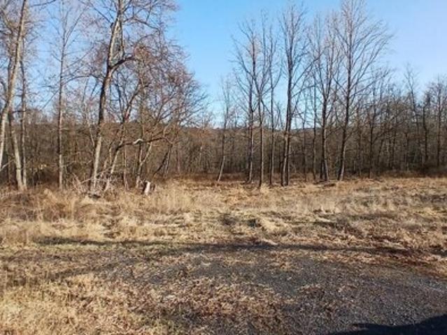 Land for sale in Paxinos