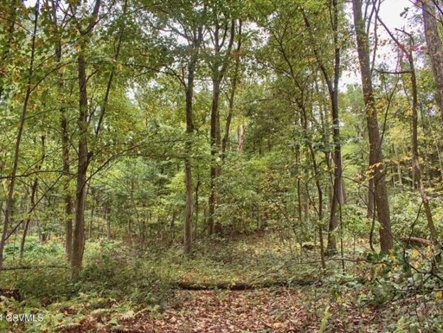 Land for sale in Paxinos