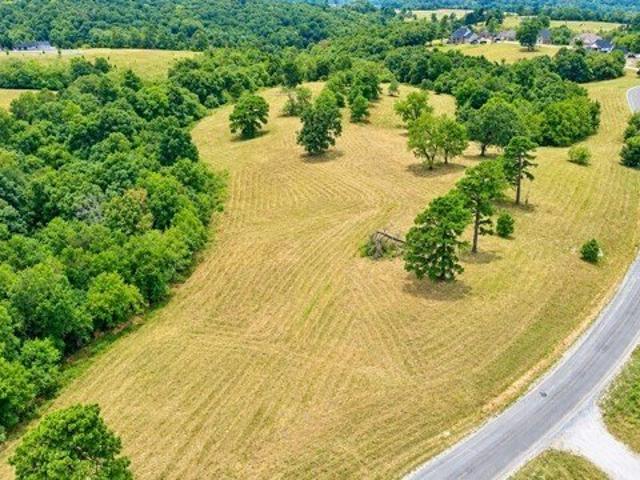 Land for sale in Pineville, Missouri