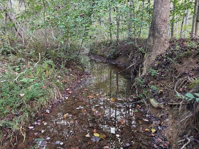 Land for sale in Virginia