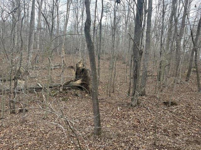 Land for sale in Ravenna, Kentucky