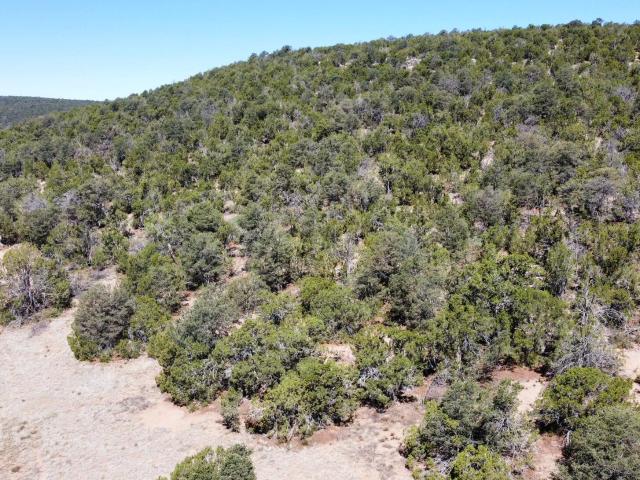 Land for sale in Edgewood, New Mexico