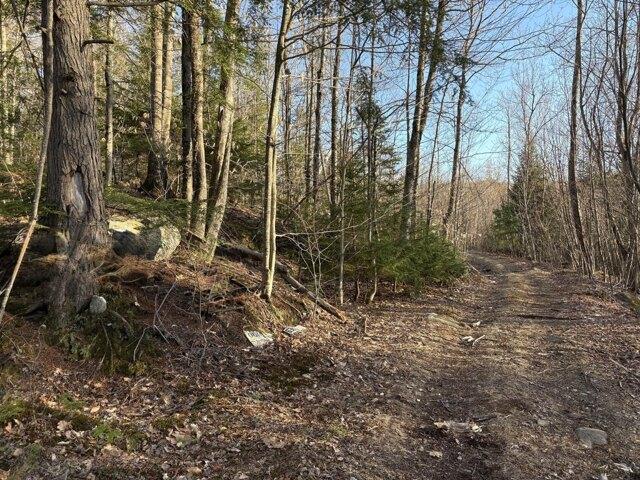 Land for sale in Rumford, Maine