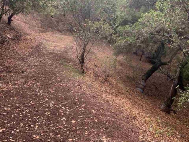 Land for sale in Oakland, California