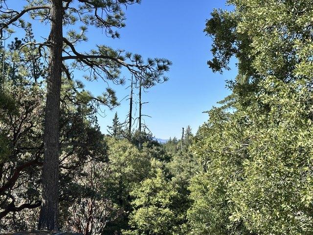 Land for sale in Idyllwild, California