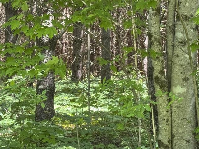 Land for sale in Hope, Maine