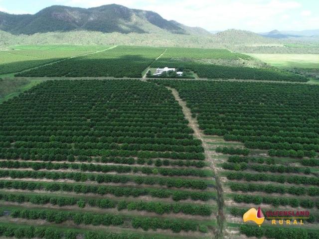Property for sale in Dimbulah, Queensland