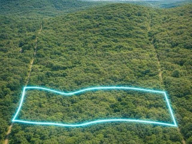 Land for sale in Mountain View, Howell County